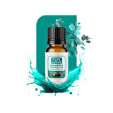 Nefes Açıcı Nane Ve Okaliptüs Esansiyel Uçucu Koku Yağı Buhurdanlık Yağı Difüzör Esansı Küre 10ml