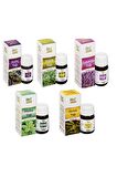 Ardıç Kekik Lavanta Melisa Defne Aromatik Masaj Cilt Bakım Yağ Seti 5 Li Set 20 Ml