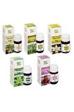 Vanilya+kekik+yasemin+melisa+zambak Aromatik Masaj Cilt Bakım Yağ Seti 20 Ml