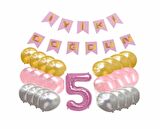 Pembe Konsept 5 Yaş Doğum Günü Kutlama Seti