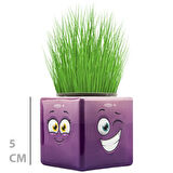 Çim Adam Mini Küp Emoji Figürlü 1 Adet