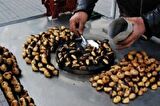 Kestane Arabası Elektrikli Kestane Kızartma Tezgahı