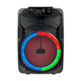 Kablosuz Bluetooth Karaoke Hoparlör Mikrofonlu, LED RGB Işıklı 8 İnç Stereo Bas, 1.3 kg Taşınabilir