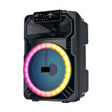Kablosuz Bluetooth Karaoke Hoparlör Mikrofonlu, LED RGB Işıklı 8 İnç Stereo Bas, 1.3 kg Taşınabilir