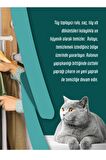 Tüy Toplayıcı Rulo Yapışkanlı 12 Li Yedek Rulo (Kedi - Köpek Tüy Toplayıcı)