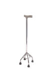 POYLİN P542 Quadripod Baston