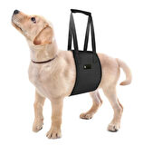 Köpek Kaldırma Kayışı Moppa