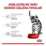 Royal Canin Kitten Sterilised Yavru Kısırlaştırılmış Kedi Maması 2 Kg