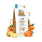 Brit Care Senior Light Tahılsız Somonlu Yaşlı Diyet Köpek Maması 3 Kg