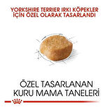 Royal Canin Yorkshire Terrier Adult Yetişkin Köpek Maması 1.5 Kg