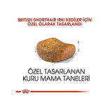 Royal Canin British Shorthair Adult Yetişkin Kedi Maması 4 Kg