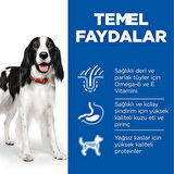 Hills Kuzu Etli Orta Irk Yetişkin Köpek Maması 2.5 Kg