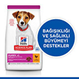 Hills Puppy Small & Miniature Tavuklu Küçük Irk Yavru Köpek Maması 3 Kg