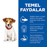 Hills Puppy Small & Miniature Tavuklu Küçük Irk Yavru Köpek Maması 3 Kg
