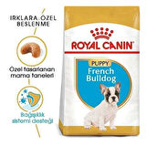 Royal Canin French Bulldog Junior Yavru Köpek Maması 3 Kg