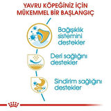 Royal Canin Pug Junior Yavru Köpek Maması 1.5 Kg