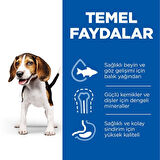 Hills Puppy Kuzu Etli Yavru Köpek Maması 12+2 Kg Hediyeli
