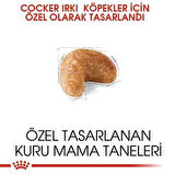 Royal Canin Cocker Adult Yetişkin Köpek Maması 3 Kg