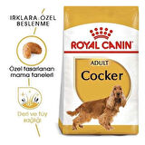 Royal Canin Cocker Adult Yetişkin Köpek Maması 3 Kg