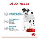 Royal Canin Starter Mousse Yavru Konserve Köpek Maması 195 Gr