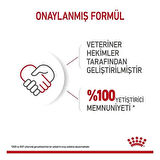 Royal Canin Starter Mousse Yavru Konserve Köpek Maması 195 Gr