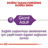 Royal Canin Giant Adult Dev Irk Yetişkin Köpek Maması 15 Kg