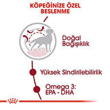 Royal Canin Medium Adult Yetişkin Köpek Maması 15 Kg
