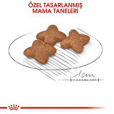 Royal Canin Mini Adult Küçük Irk Yetişkin Köpek Maması 2 Kg