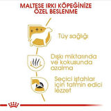 Royal Canin Maltese Terrier Adult Yetişkin Köpek Maması 1.5 Kg