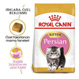 Royal Canin Persian Kitten Yavru İran Kedisi Maması 2 Kg