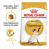 Royal Canin Siamese Adult Yetişkin Siyam Kedisi Maması 2 Kg