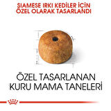 Royal Canin Siamese Adult Yetişkin Siyam Kedisi Maması 2 Kg