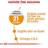 Royal Canin Hair Skin Deri ve Tüy Sağlığı için Kedi Maması 2 Kg