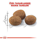 Royal Canin Sterilised 7+ Kısırlaştırılmış Kedi Maması 1.5 Kg