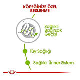 Royal Canin Xsmall Adult Yetişkin Köpek Maması 1.5 Kg