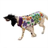 Flower Power Su İtici Köpek Yağmurluğu , Orta ve Büyük Irklar İçin