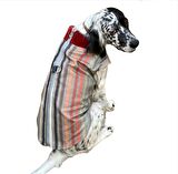 Stripe Bordo Köpek Ceketi, Orta ve Büyük ırklar için