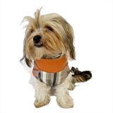 Stripe Orange Su itici Yağmurluk Köpek Yağmurluğu 