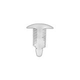 Universal Klips Şeffaf 10X22X22mm 10 Adet