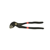 Papağan Pense 10'' 250mm