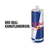 Red Bull Enerji İçeceği 250 Ml 