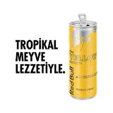 Red Bull Enerji İçeceği Tropikal Meyve 250 Ml X 24 Adet