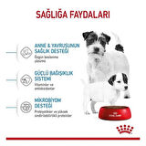 Royal Canin Mini Starter Anne ve Yavru Köpek Maması 4 Kg