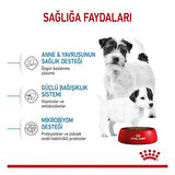 Royal Canin Mini Starter Anne ve Yavru Köpek Maması 4 Kg