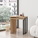 Robin Home Lidya 2'Li Zigon Sehpa Yan Sehpa Metal Ayaklı Sepet 