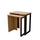 Robin Home Lidya 2'Li Zigon Sehpa Yan Sehpa Metal Ayaklı Uv Baskı Sepet-Jüt 