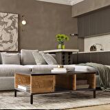 Robin Home Troya Salon Orta Sehpa Metal Ayaklı Çam