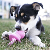 Kong Puppy Diş Kaşıma Emziği Yavru Köpek Oyuncağı Medium 13.5 Cm