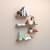 4 LÜ RAF SET  ( 100 - 80 - 50 - 50 ) BAMBU ( PARLAK )