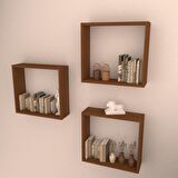 3 LÜ BOX RAF SET HARELİ CEVİZ (MAT)